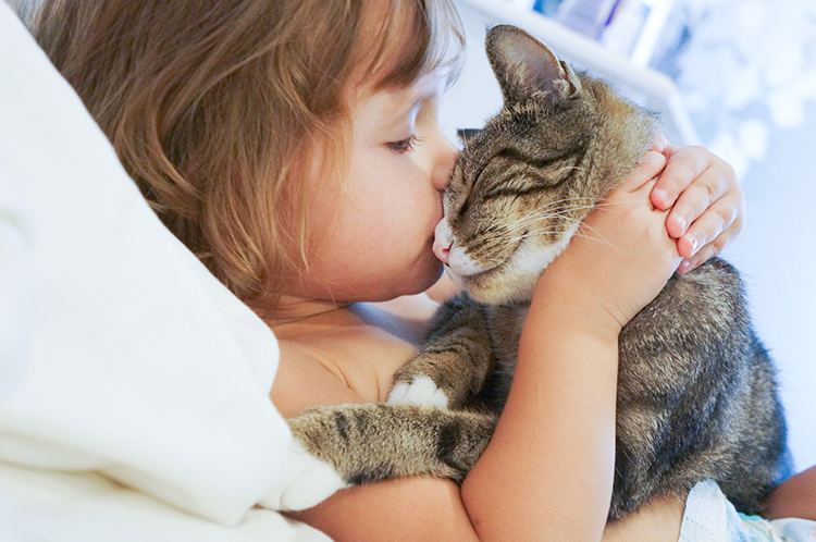 Free online medical education courses on cat scratch disease and Bartonella