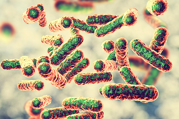 Bartonelloses: History of a hidden pandemic