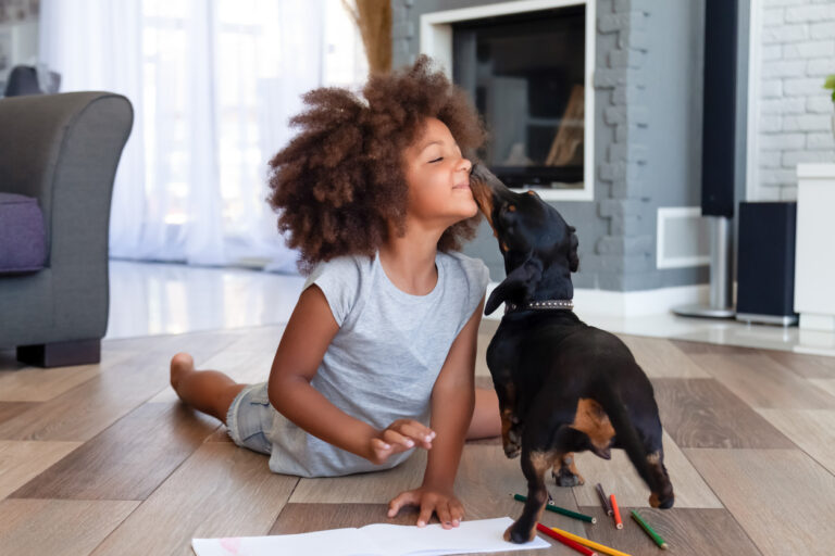 New course on healthy dog ownership