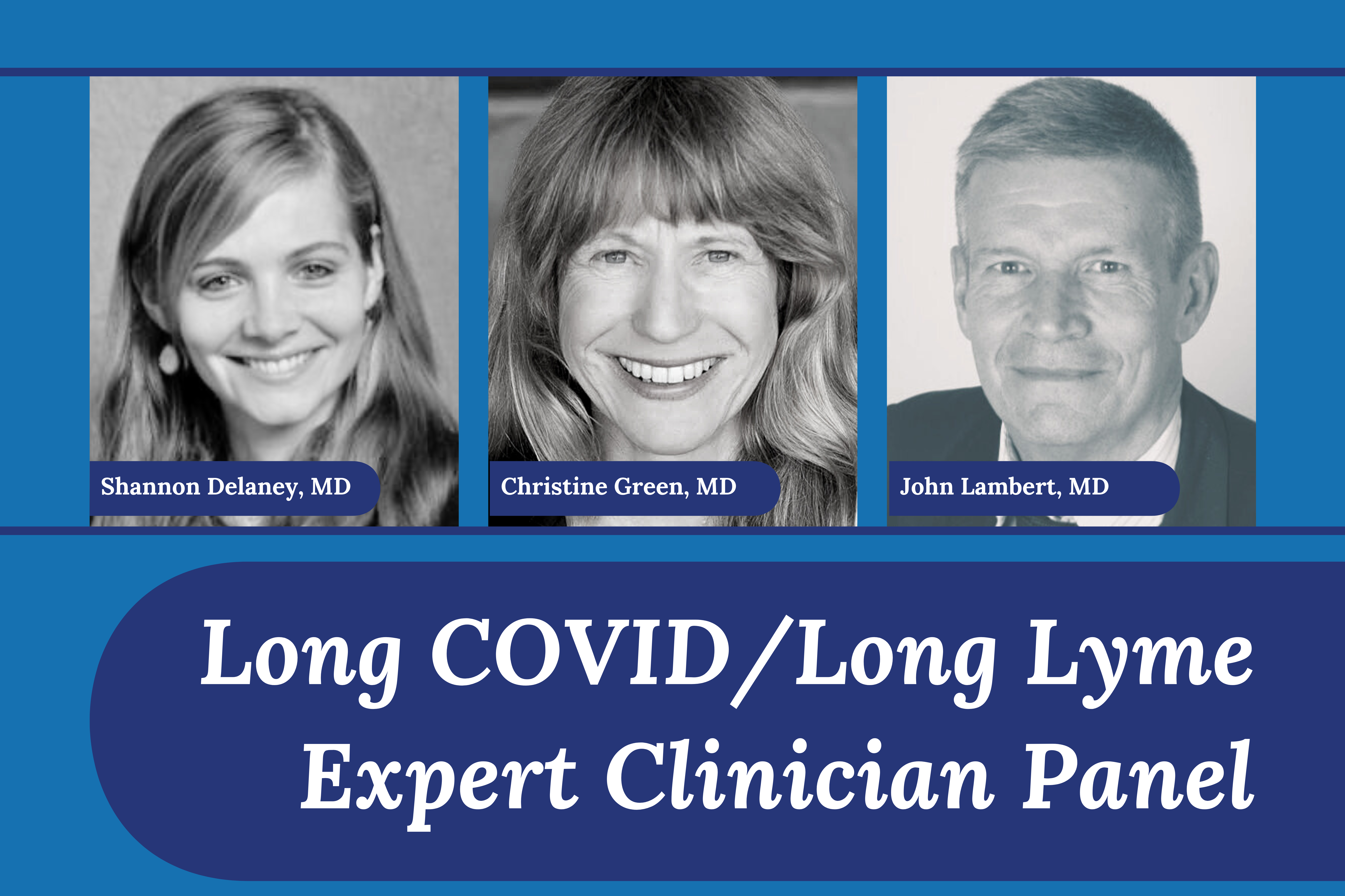 Long Covid / Lyme Lyme Clinician panel